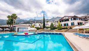 The olive Tree Hotel