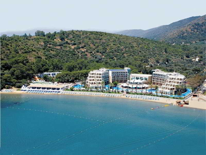 Paloma Pasha